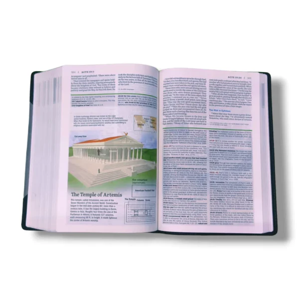 Niv Faith Life Illustrated Study Bible (1)