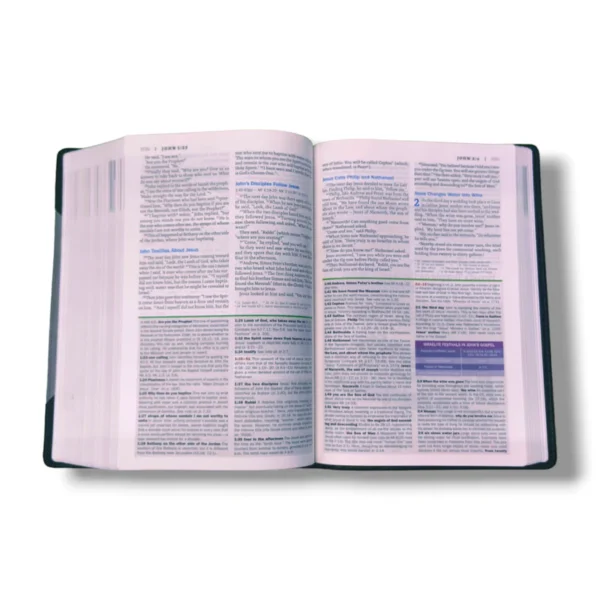 Niv Faith Life Illustrated Study Bible (11)