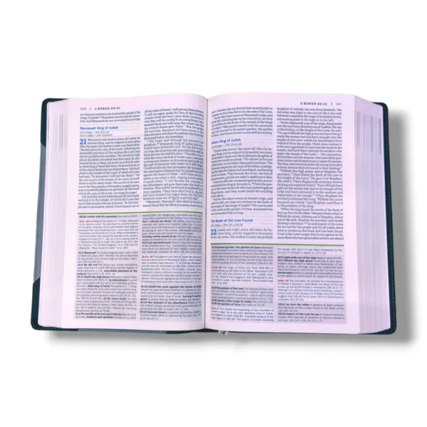 Niv Faith Life Illustrated Study Bible (9)