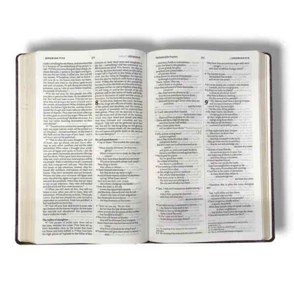 Niv Holy Bible (3)
