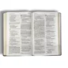 Niv Holy Bible (4)