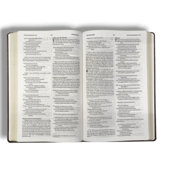 Niv Holy Bible (4)