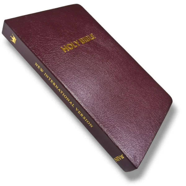 Niv Holy Bible (5)