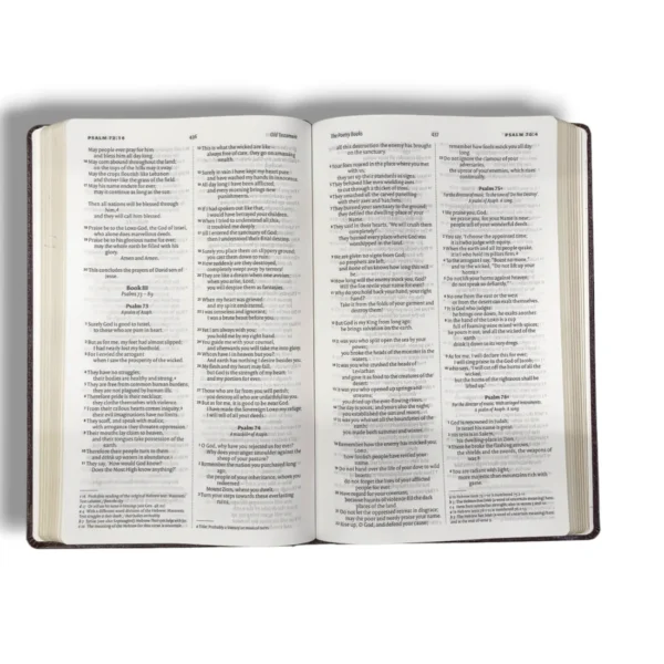 Niv Holy Bible (6)