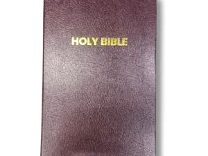 Niv Holy Bible (8)