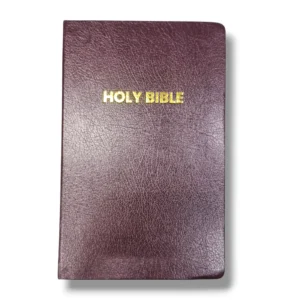 Niv Holy Bible (8)