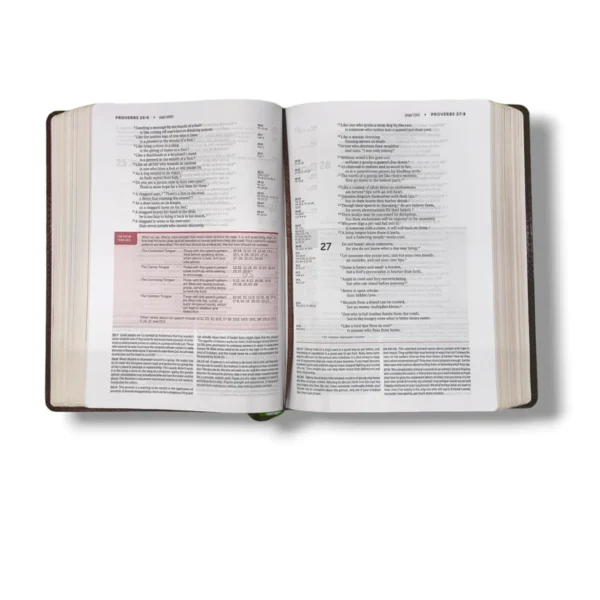 Niv Life Application Study Bible (4)