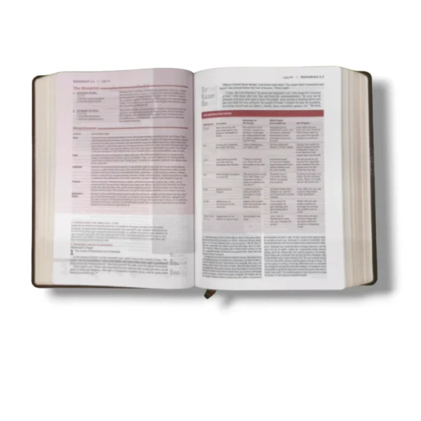 Niv Life Application Study Bible (5)