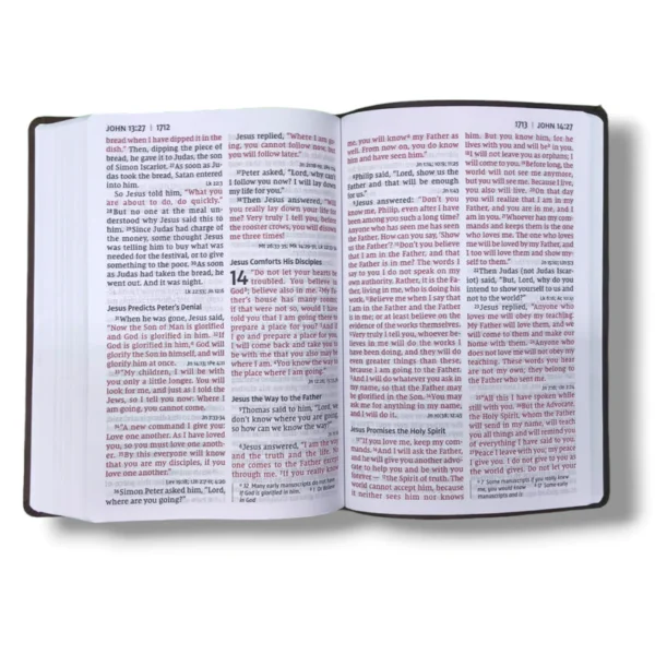 Niv Super Giant Print Reference Bible (3)