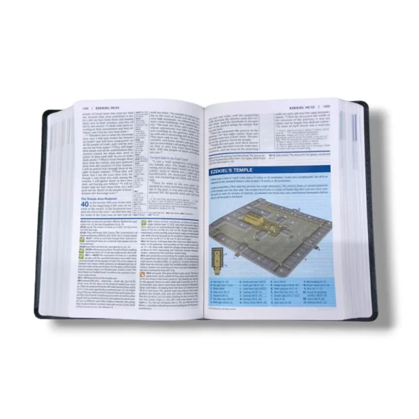 Niv Study Bible (10)