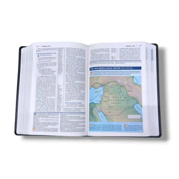 Niv Study Bible (11)