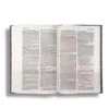 Niv, Thinline Bible (10)