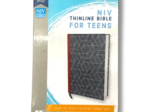 Niv, Thinline Bible (4)