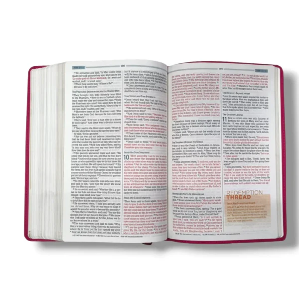 Nkjv Essential Teen Study Bible (10)
