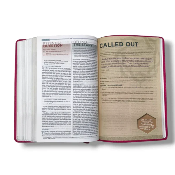 Nkjv Essential Teen Study Bible (11)