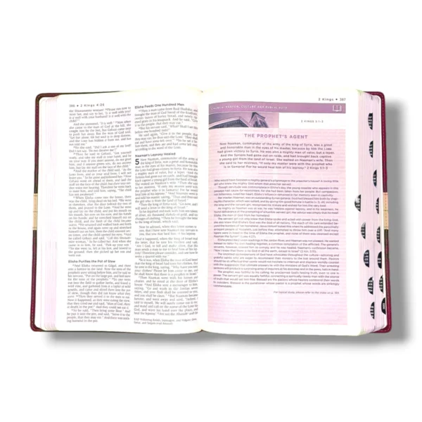 Nkjv, Unapologetic Bible (9)