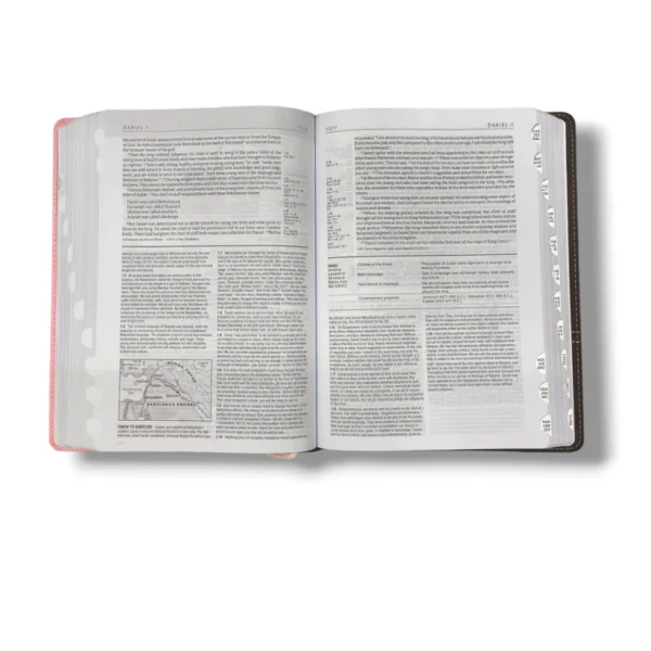 Nlt Life Application Study Bible (2)