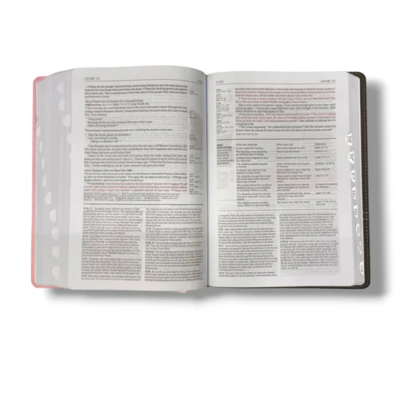 Nlt Life Application Study Bible (3)