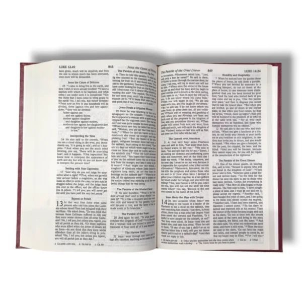 Nrsv Holy Bible (2)