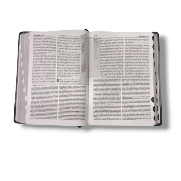 The Matthew Henry Study Bible (4)