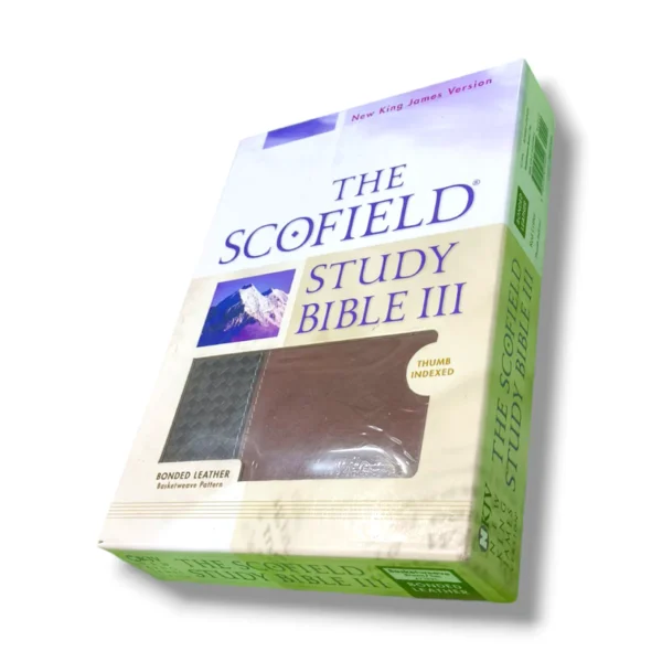 The Scofield Study Bible 3 (8)
