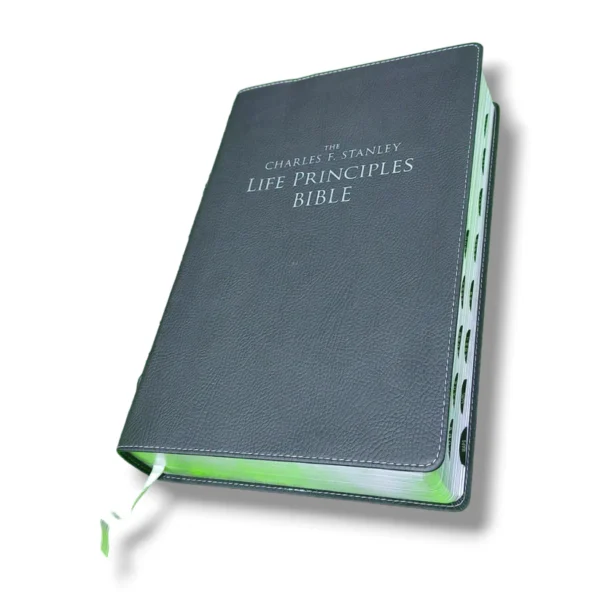 New English Study Bible, New Edition English Bible, This Bible Letters Are Very Big, The Holy English Study Bible,