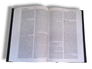 Esv Bible (1)