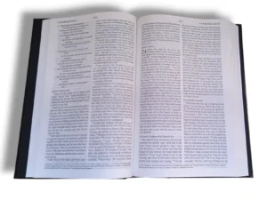 Esv Bible (2)