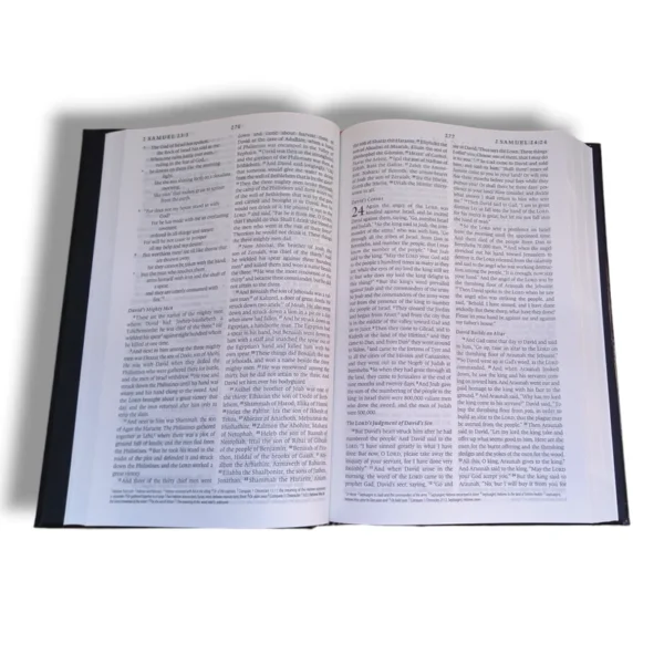 Esv Bible (2)
