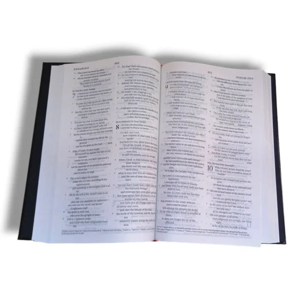Esv Bible (3)
