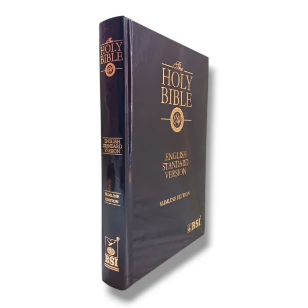 Esv Bible (6)
