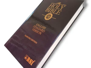 Esv Bible (7)