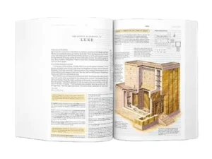 Esv Study Bible (10)