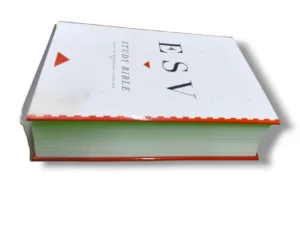 Esv Study Bible (11)
