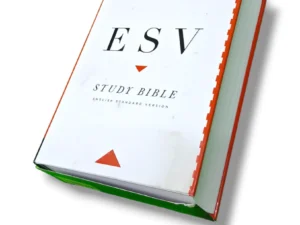 Esv Study Bible (16)