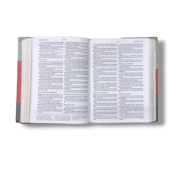 Kjv Apologetics Study Bible (3)