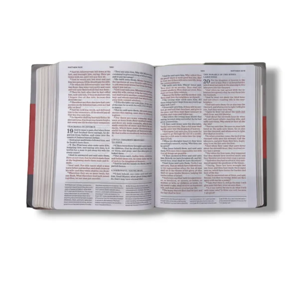 Kjv Apologetics Study Bible (4)