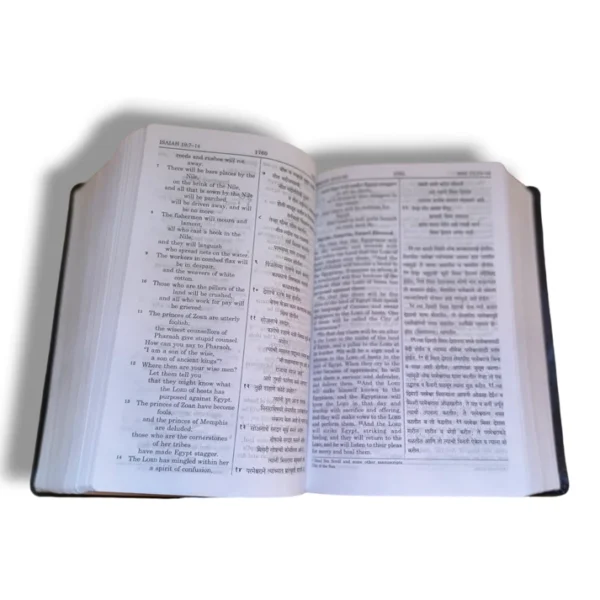 Marathi English Diglot Bible (3)