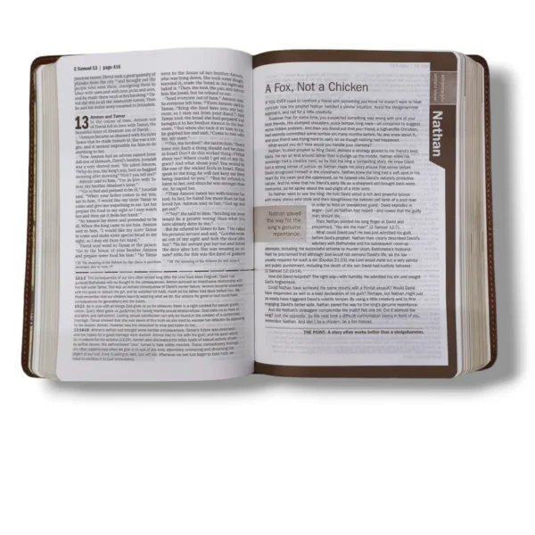 Niv Every Man's Bible (2)