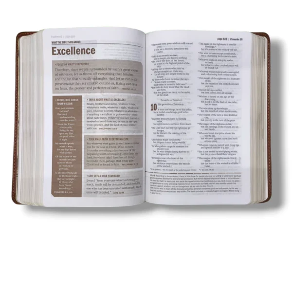 Niv Every Man's Bible (4)