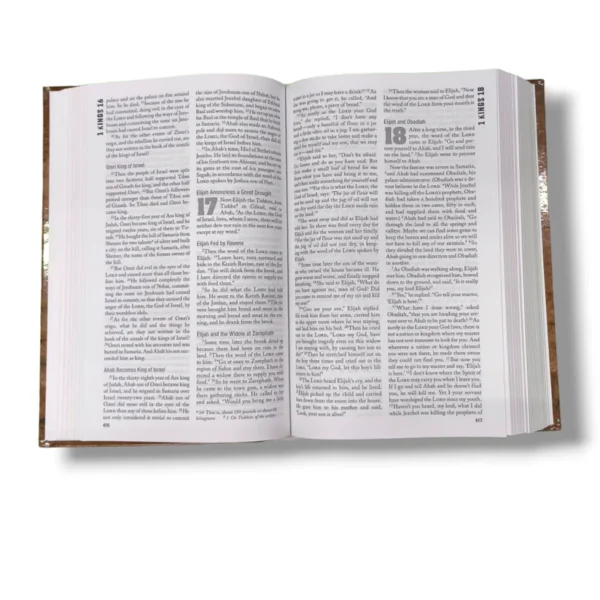 Niv Rock Solid Faith Bible (1)