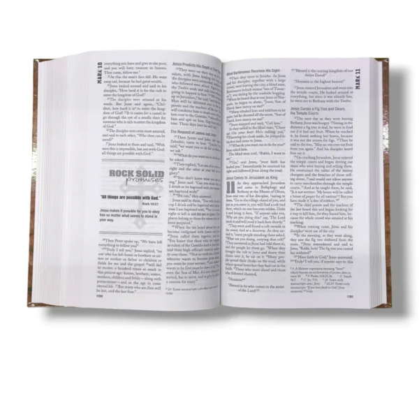 Niv Rock Solid Faith Bible (2)