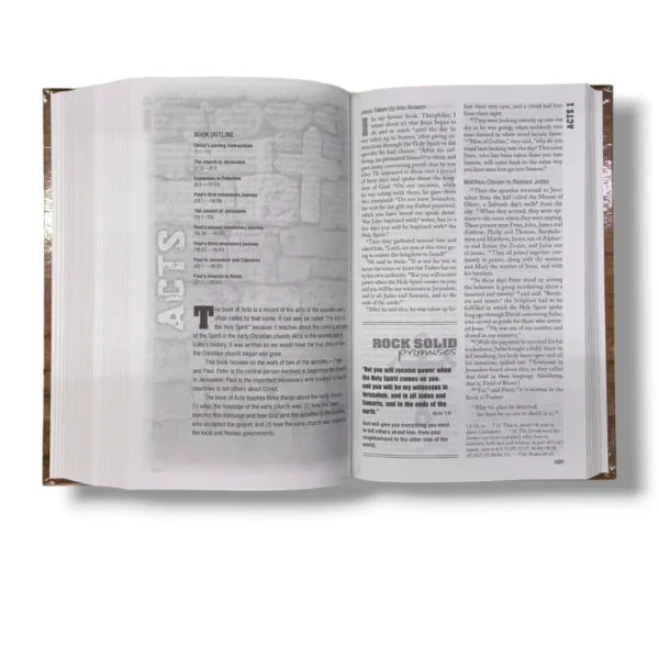 Niv Rock Solid Faith Bible (3)