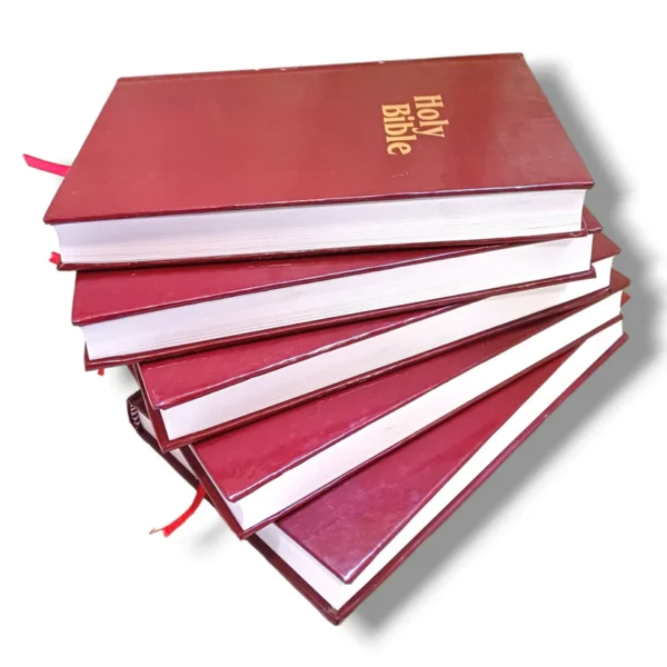 Nkjv Holy Bible (12)