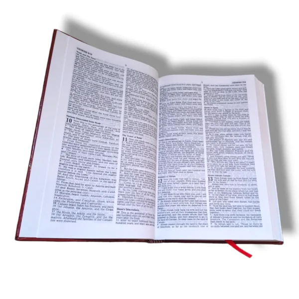 Nkjv Holy Bible (7)
