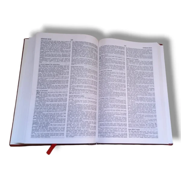 Nkjv Holy Bible (8)