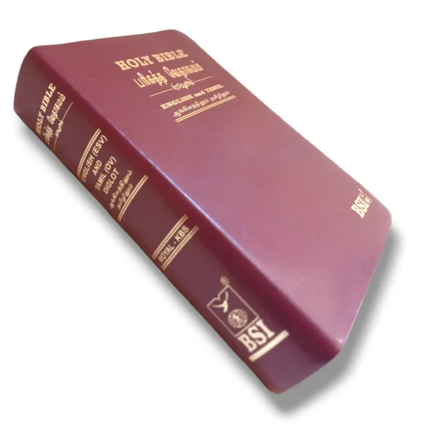 Tamil English Diglot Bible (1)