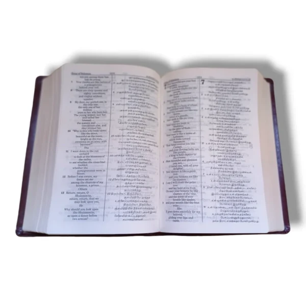 Tamil English Diglot Bible (4)
