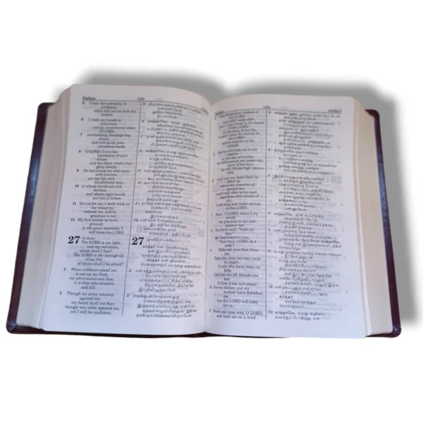 Tamil English Diglot Bible (5)