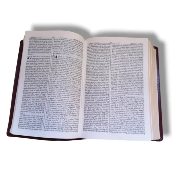 Tamil English Diglot Bible (6)
